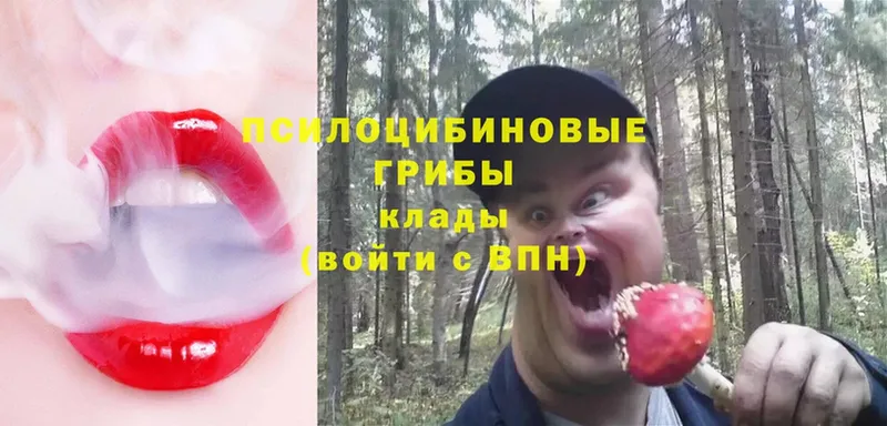 Галлюциногенные грибы Magic Shrooms  Краснознаменск 